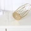 Wholesale of Nordic ins ironwork golden glass vases for living room desktop decoration, dry flower hydroponic flower arrangements and ornaments Application Scenario